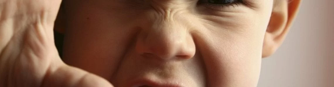 Ярост и агресивност при децата Ярост и агресивност при децата